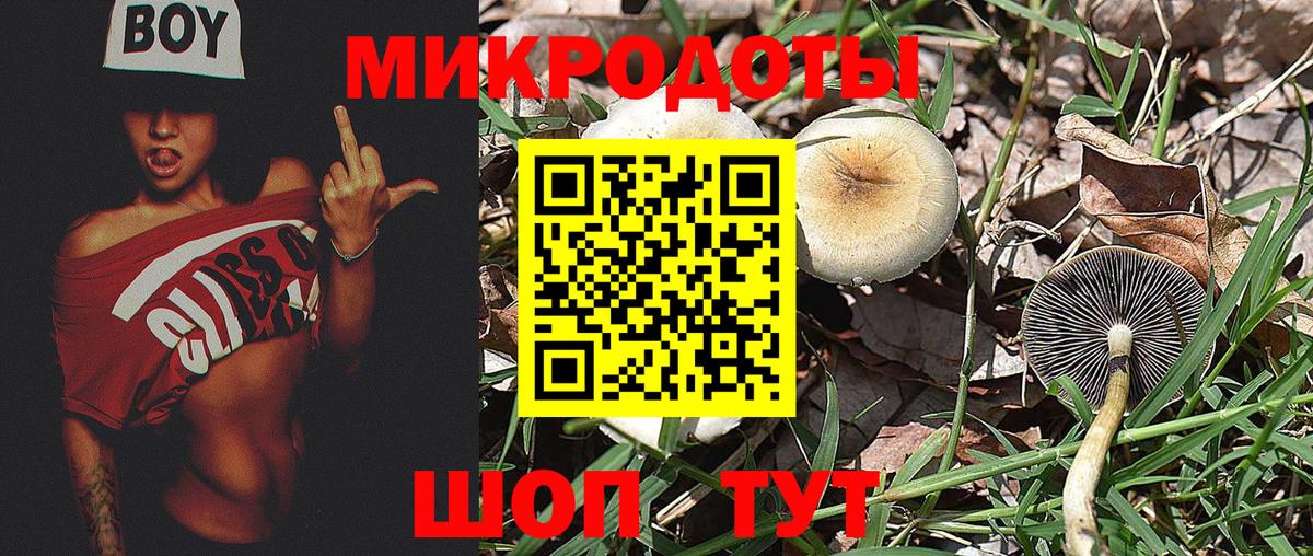 Псилоцибиновые грибы Psilocybine cubensis Альметьевск
